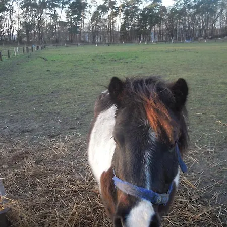 Lenzer Ferienidyll Am Plauer Lenz